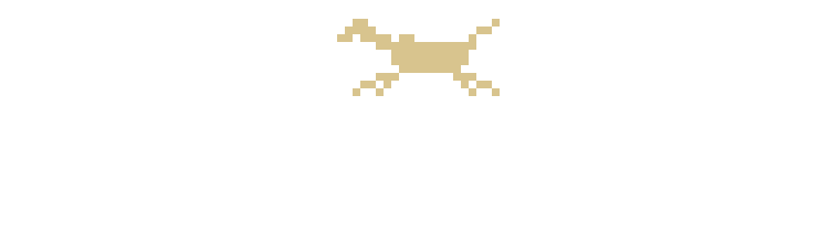 サラスキ